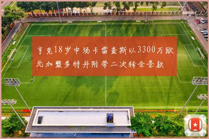 亨克18岁中场卡雷查斯以3300万欧元加盟多特并附带二次转会条款